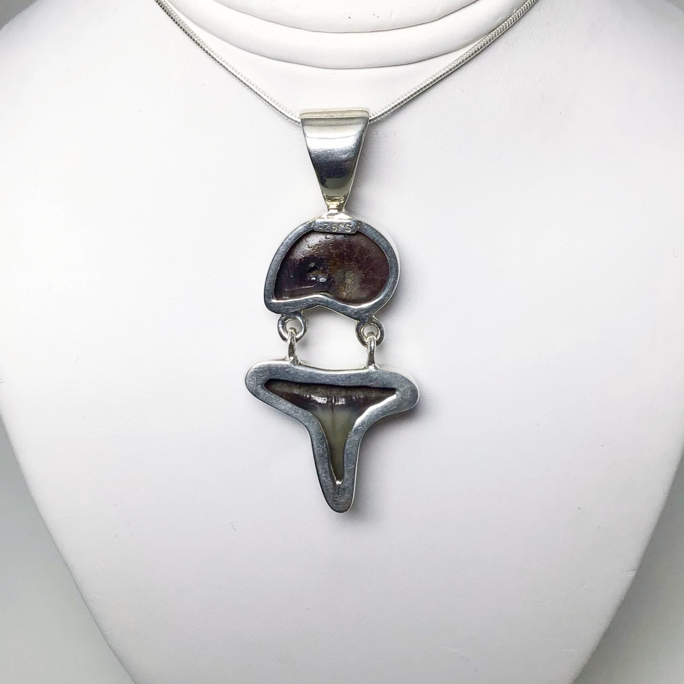 Fossilized Shark Tooth with Ammonite Pendant