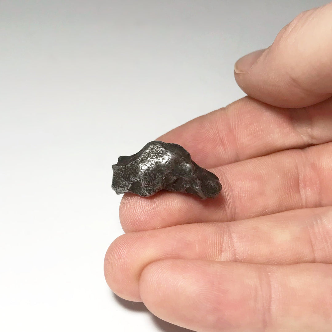 Sikhote-Alin Meteorite - Rocks and Gems Canada