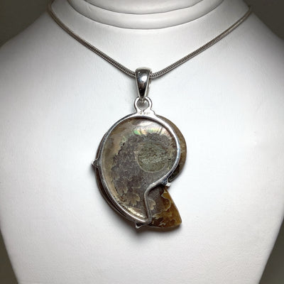Chambered Ammonite Pendant