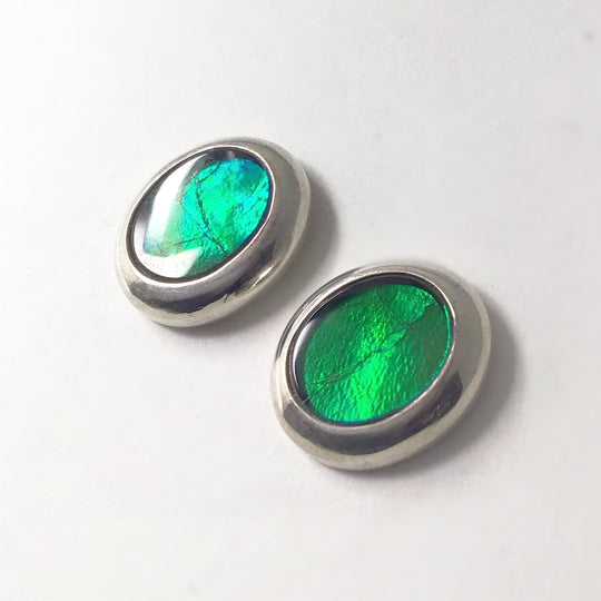 Alberta Ammolite Stud Earrings - Rocks and Gems Canada