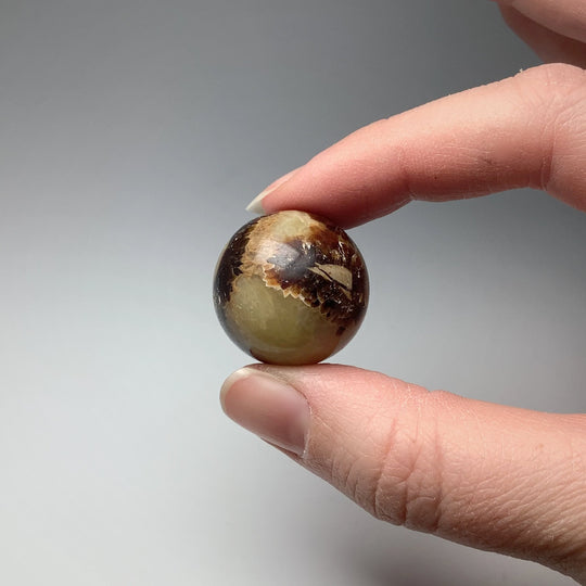 Septarian Sphere - Rocks and Gems Canada