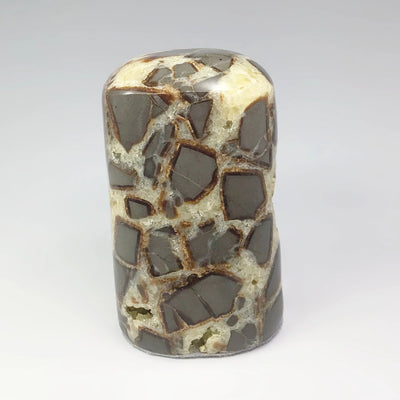 Septarian Stand Up