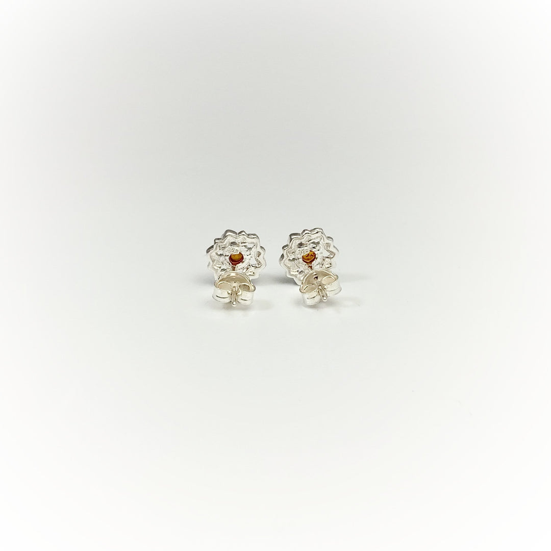 Cognac Amber Stud Earrings - Rocks and Gems Canada