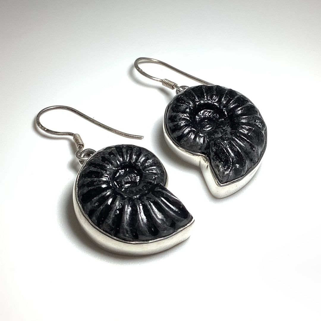 Black Goniatite Ammonite Dangle Earrings - Rocks and Gems Canada