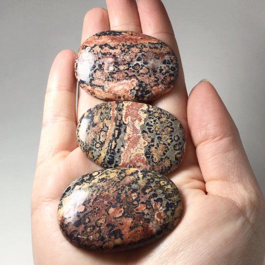 Worry Stone - Leopard Skin Jasper - Rocks and Gems Canada