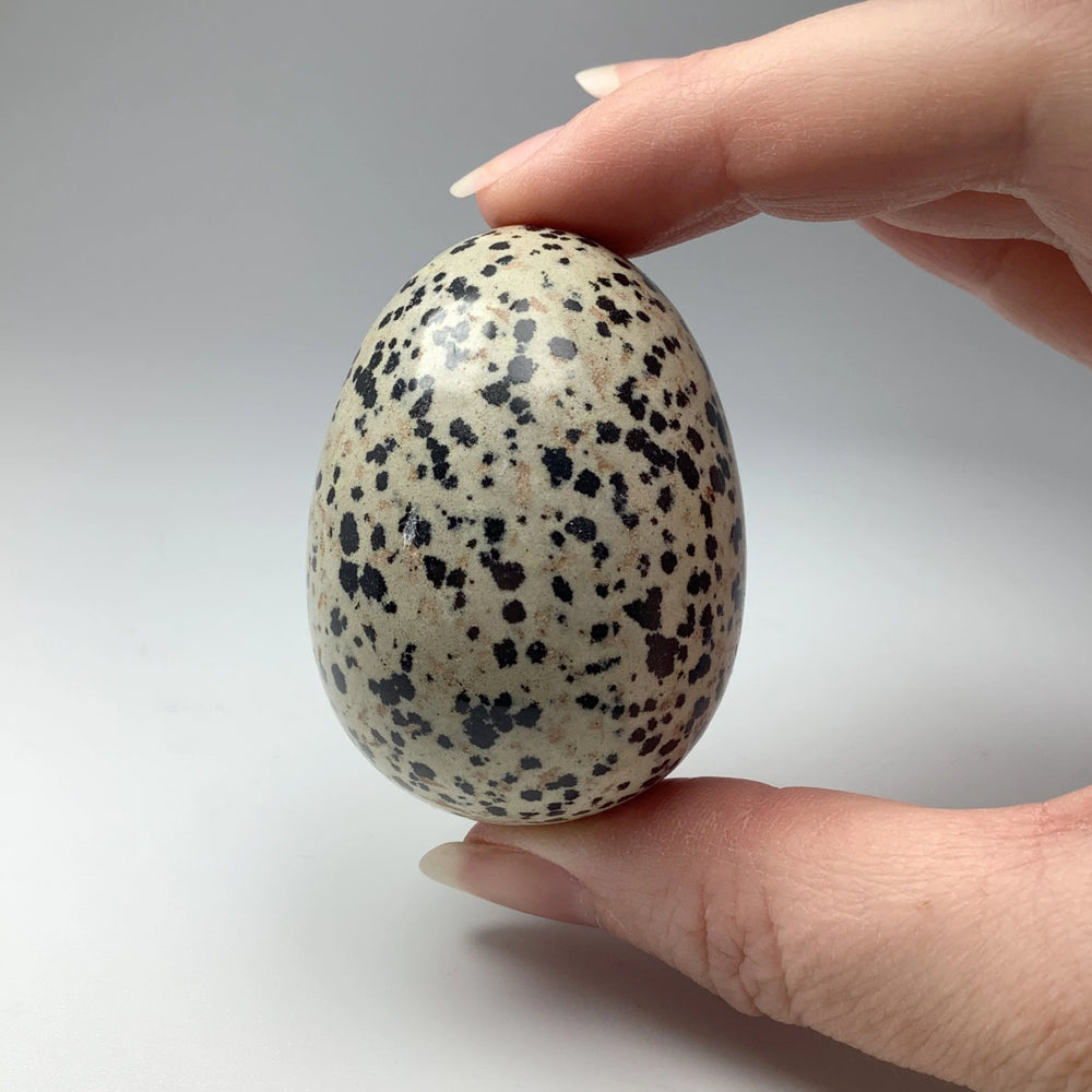 Dalmatian Jasper Egg - Rocks and Gems Canada