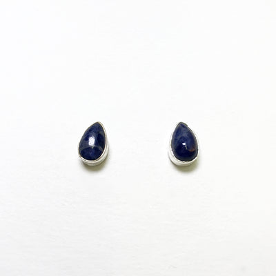 Sodalite Stud Earrings