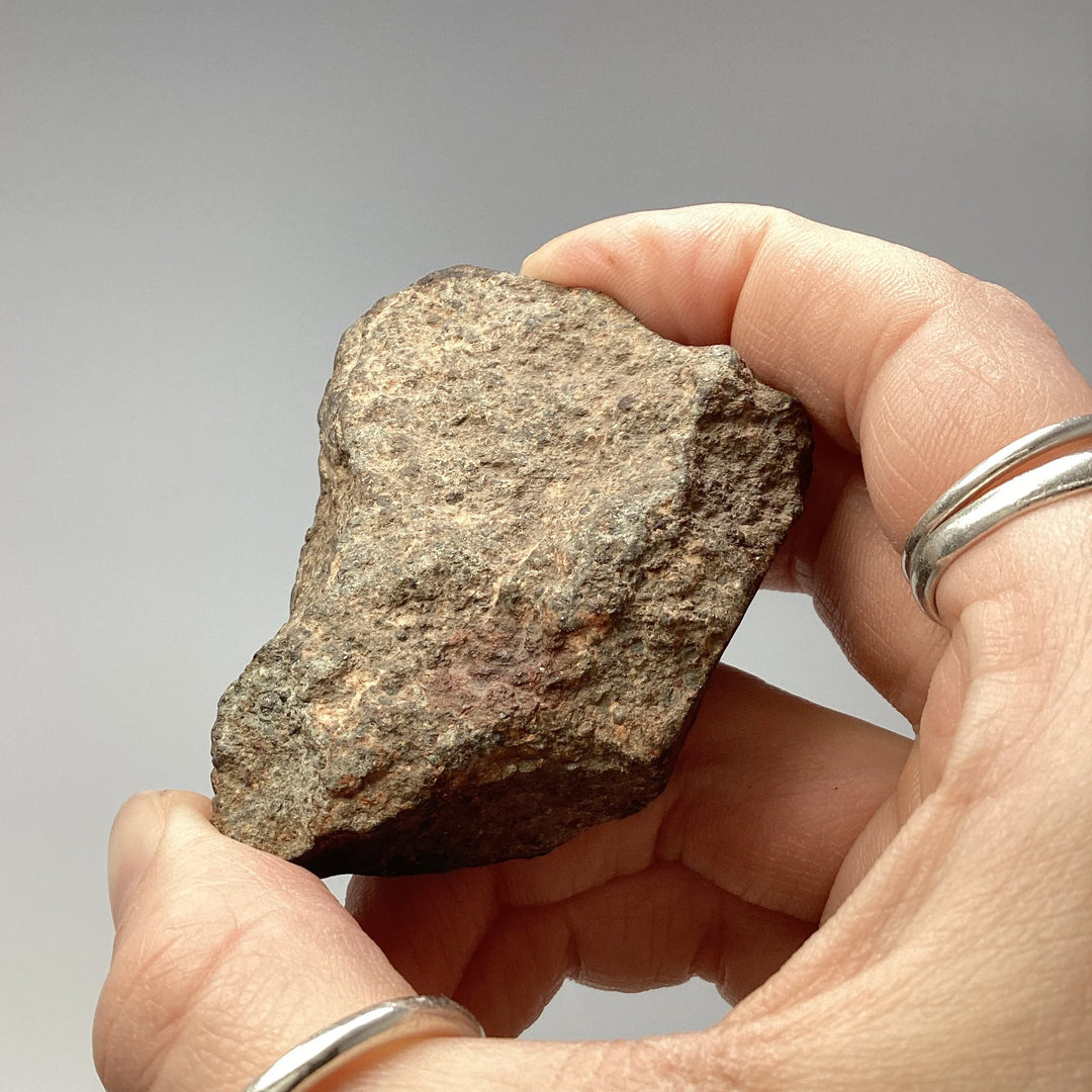 NWA Chondrite Meteorite Specimen - Rocks and Gems Canada
