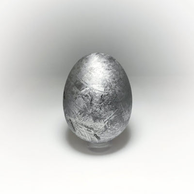 Gibeon Meteorite Egg Carving