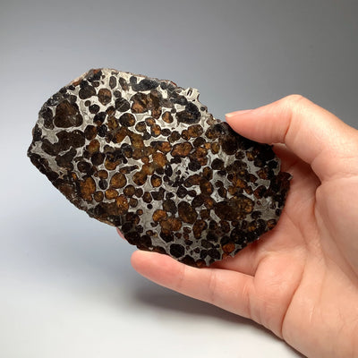 Sericho Large Meteorite Slice