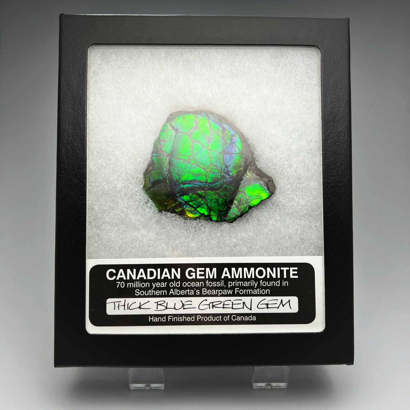 Ammolite Gem Display Box