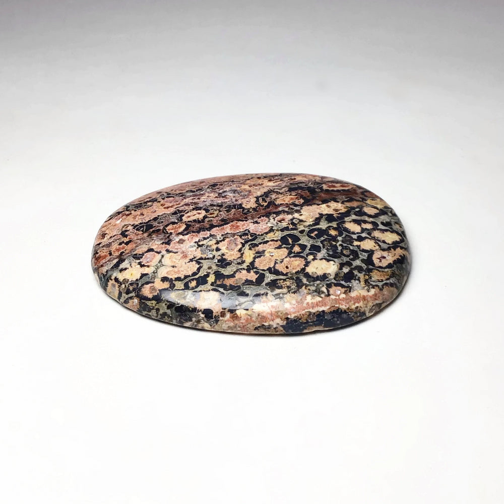 Worry Stone - Leopard Skin Jasper - Rocks and Gems Canada