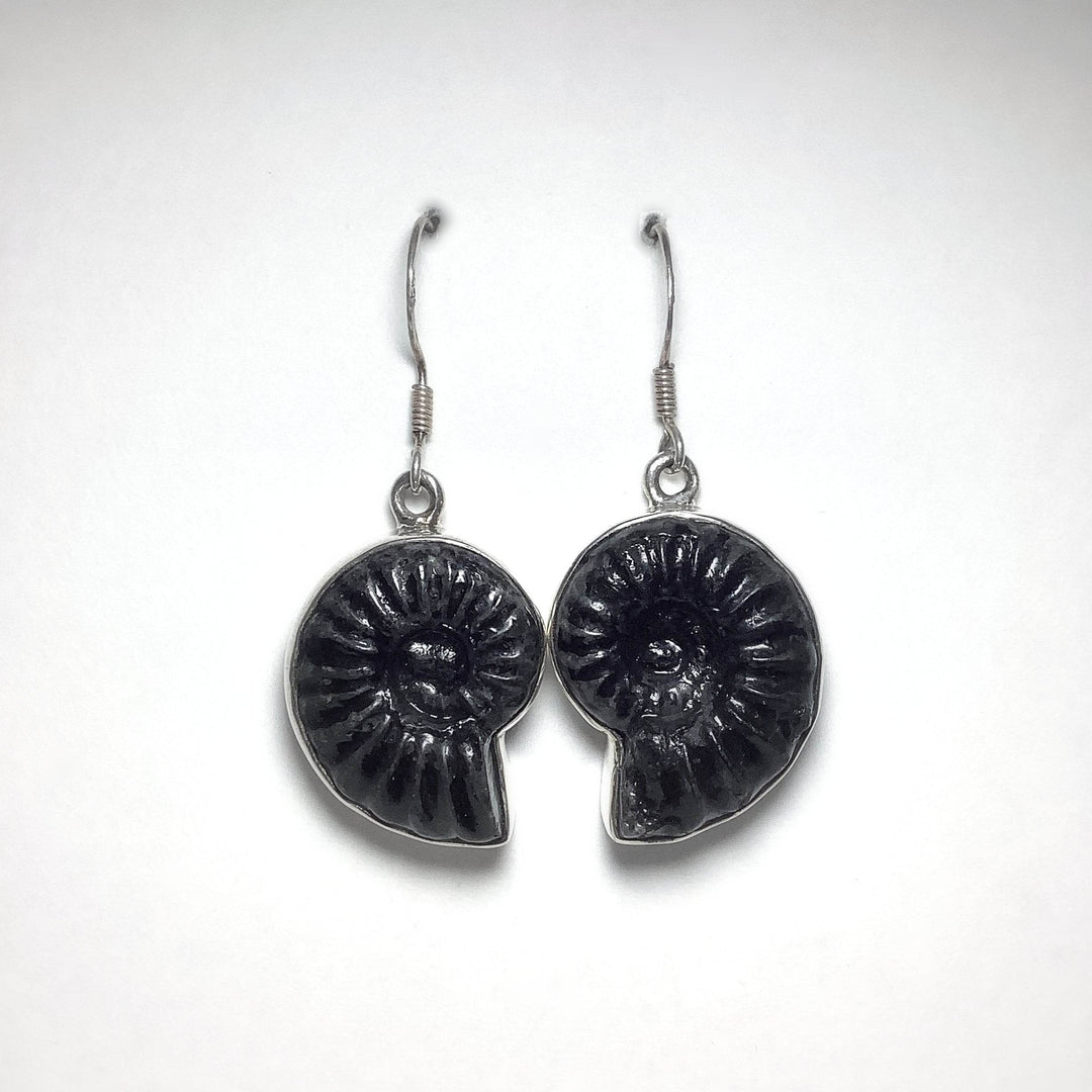 Black Goniatite Ammonite Dangle Earrings - Rocks and Gems Canada
