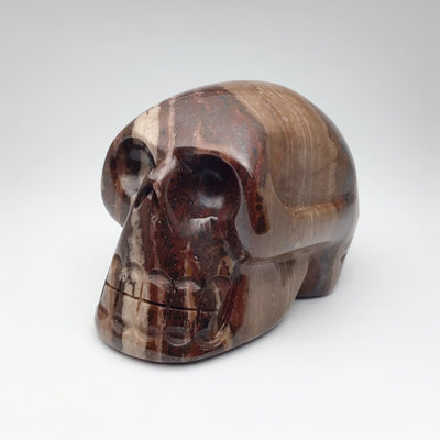 Carved Chocolate Jasper Skull