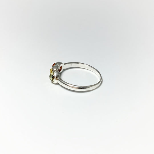 Mixed Amber Ring - Rocks and Gems Canada