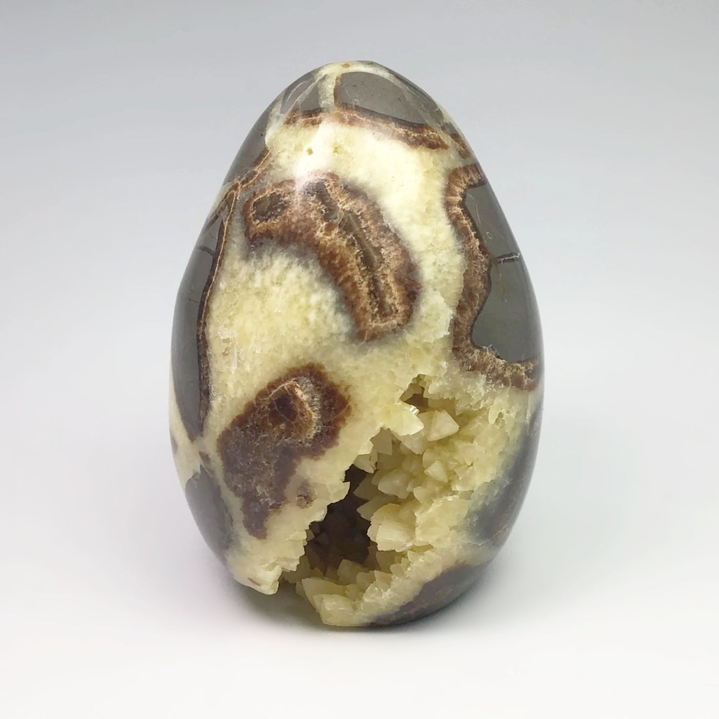 Septarian Egg Stand Up Piece