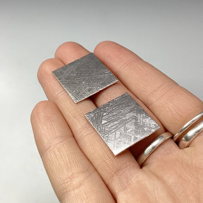 Muonionalusta Meteorite Slice at $169 Each