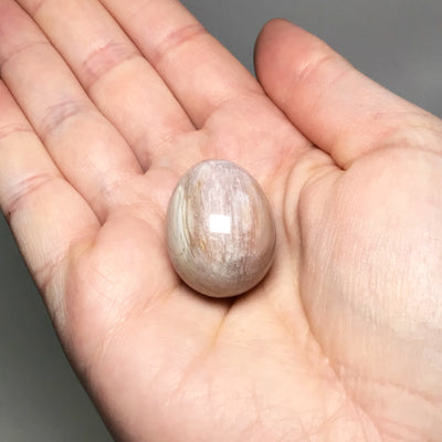 Petrified Wood Mini Egg