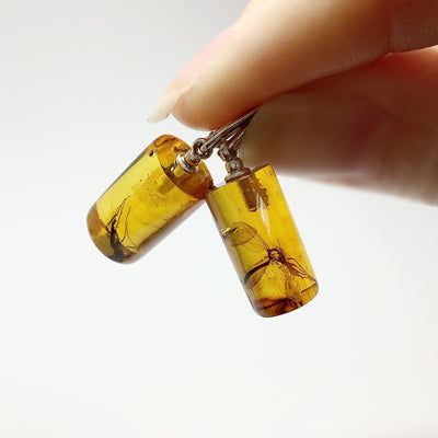 Amber with Preserved Insect Inclusion Dangle Earrings