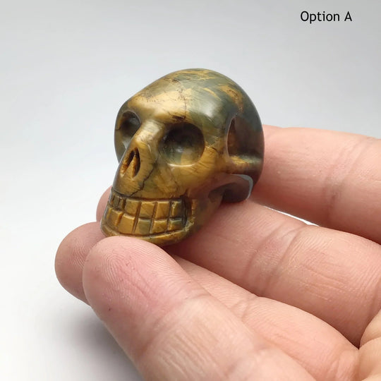 Carved Tiger Eye Skull - Rocks and Gems Canada