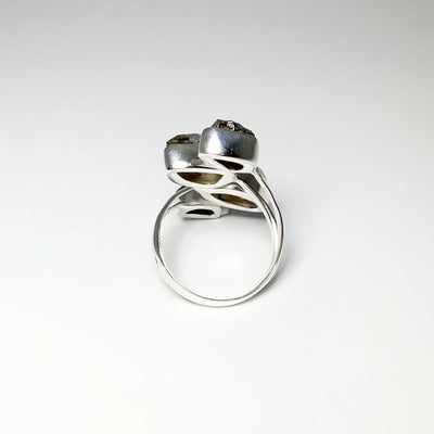 Campo Del Cielo Meteorite and Herkimer Diamond Adjustable Ring