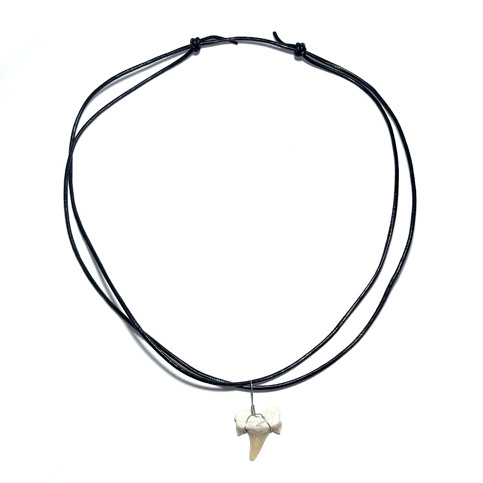 Shark Tooth Fossil Wire Wrapped Necklace - Rocks and Gems Canada