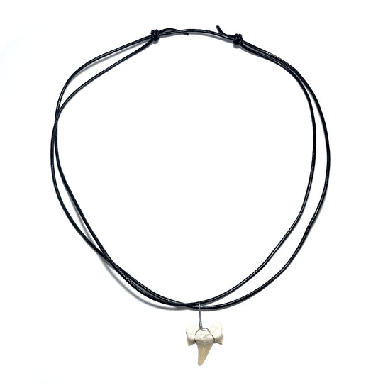 Shark Tooth Fossil Wire Wrapped Necklace - Rocks and Gems Canada