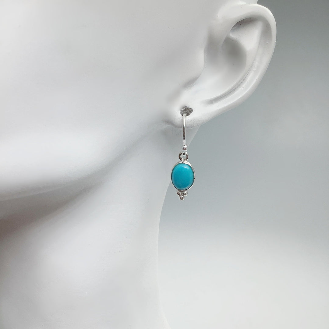Turquoise Dangle Earrings - Rocks and Gems Canada