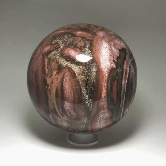 Araucaria Petrified Wood Sphere - Rocks and Gems Canada