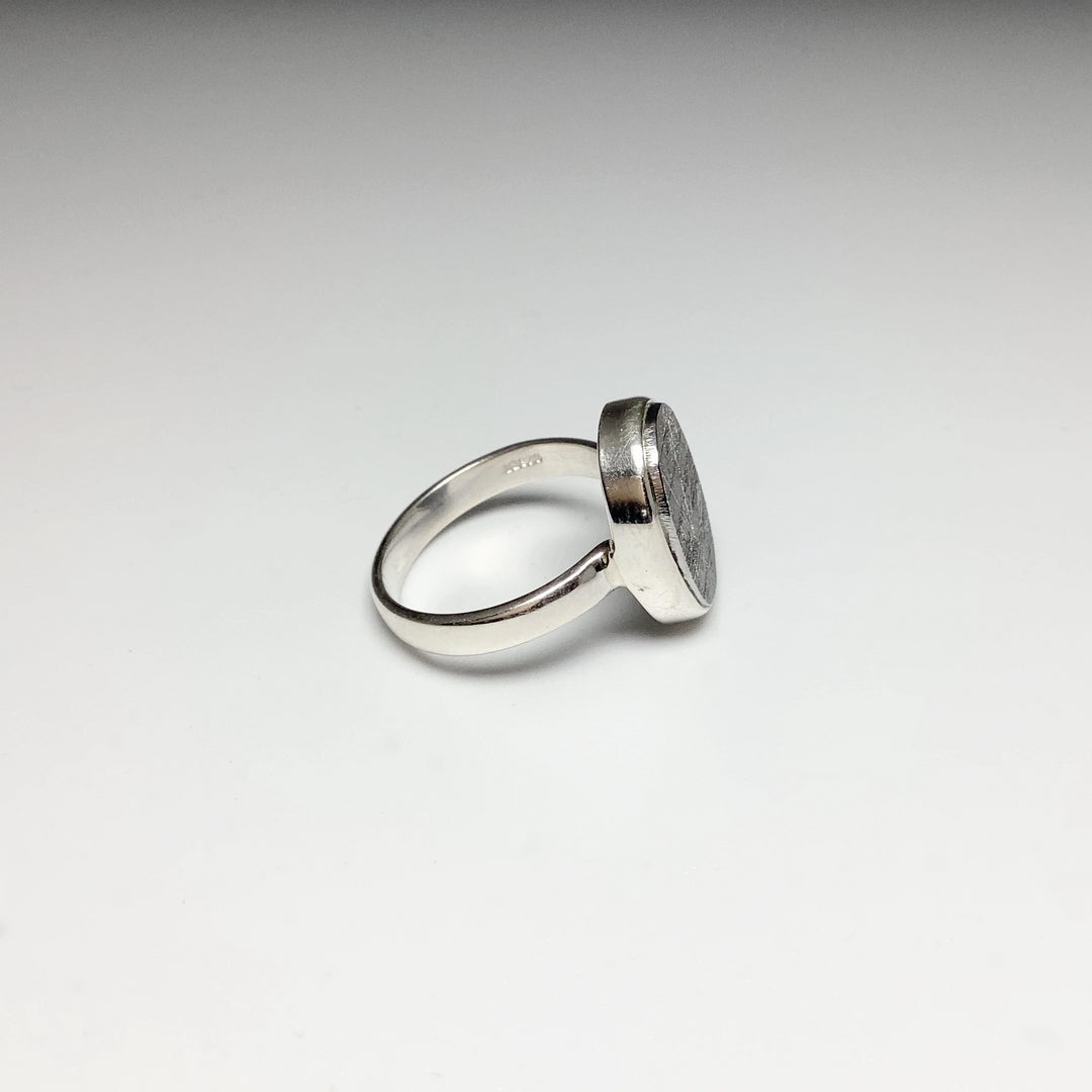 Muonionalusta Meteorite Ring - Rocks and Gems Canada