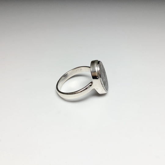 Muonionalusta Meteorite Ring - Rocks and Gems Canada