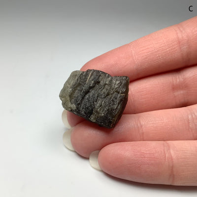 Moldavite Specimen at $399 Each