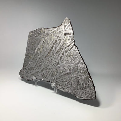 Seymchan Meteorite Slice