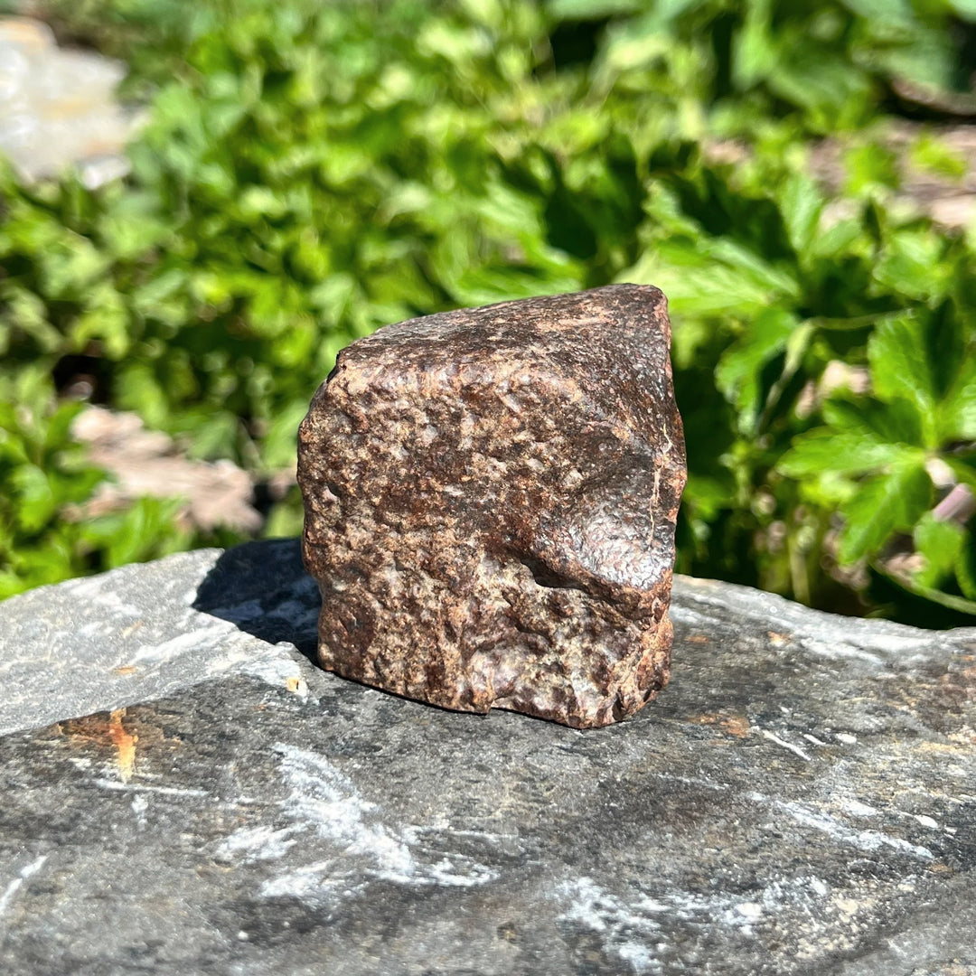 NWA Chondrite Meteorite - Rocks and Gems Canada