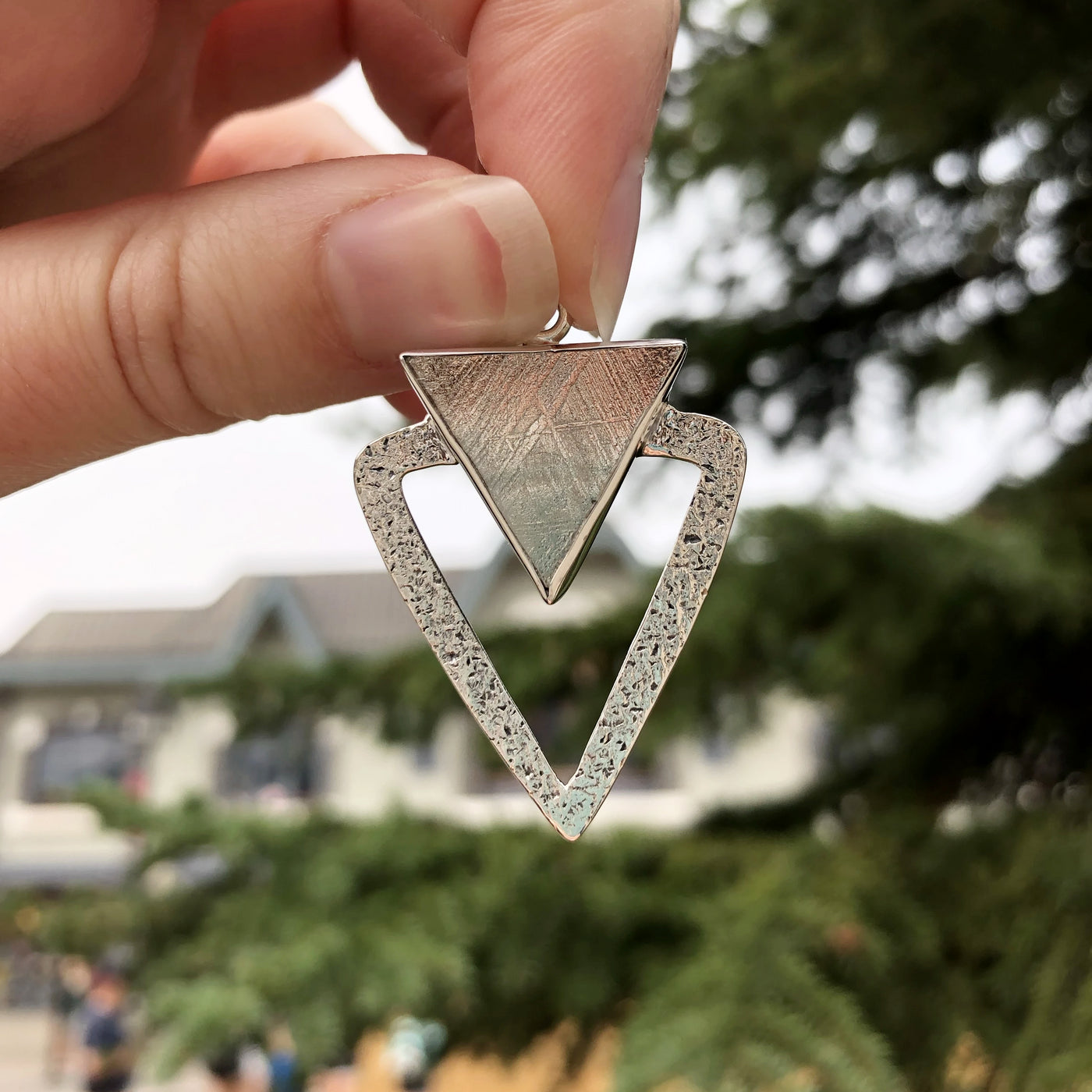 Muonionalusta Meteorite Pendant