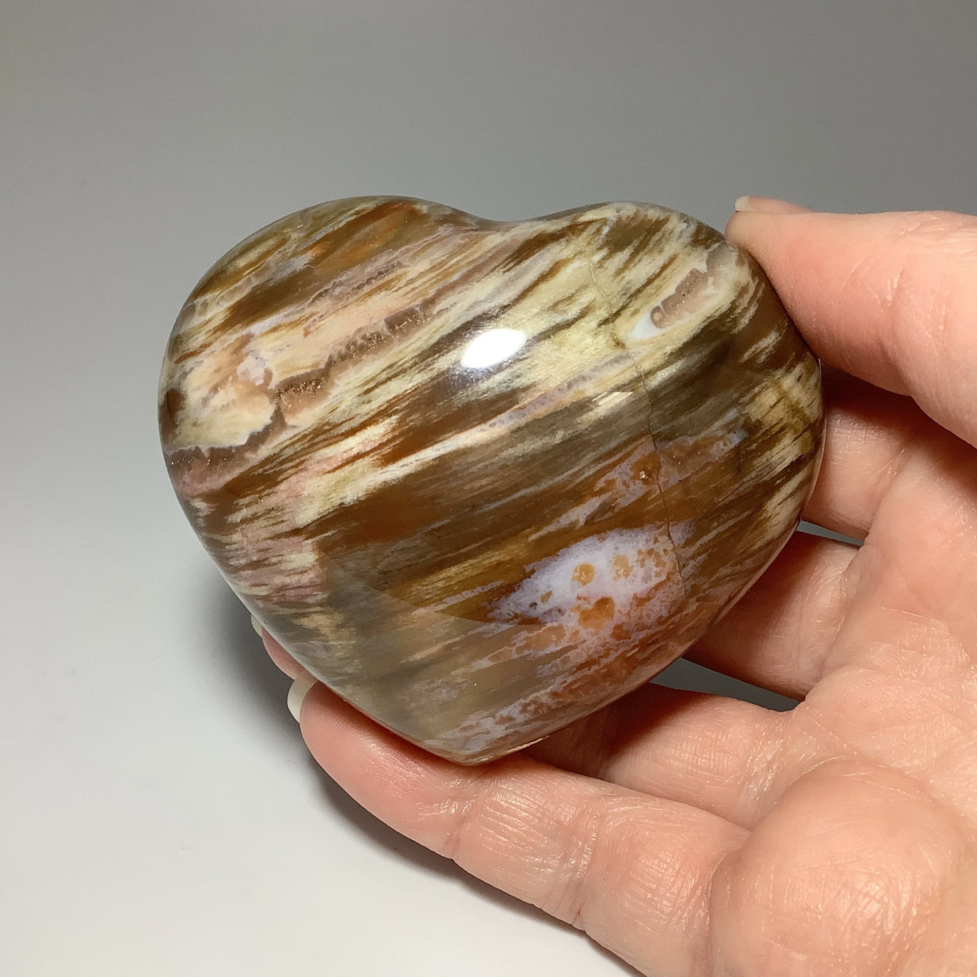 Petrified Wood Heart