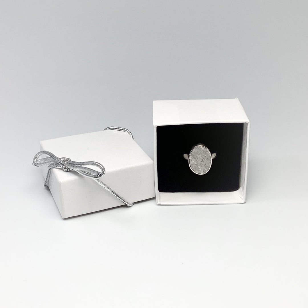 Muonionalusta Meteorite Ring - Rocks and Gems Canada