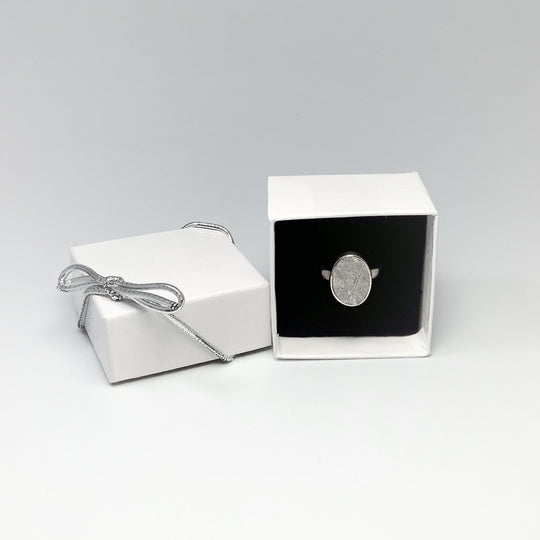 Muonionalusta Meteorite Ring - Rocks and Gems Canada