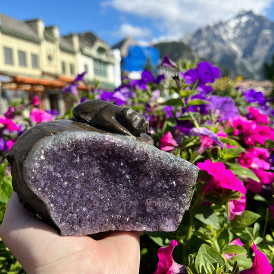 Amethyst Bear Carving - Rocks and Gems Canada