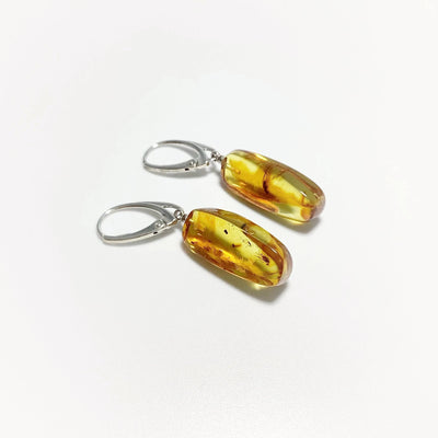 Amber with Preserved Insect Inclusion Dangle Earrings