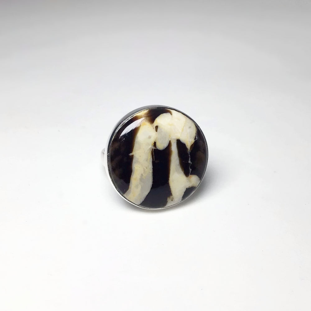 Petrified Peanut Wood Ring - Rocks and Gems Canada