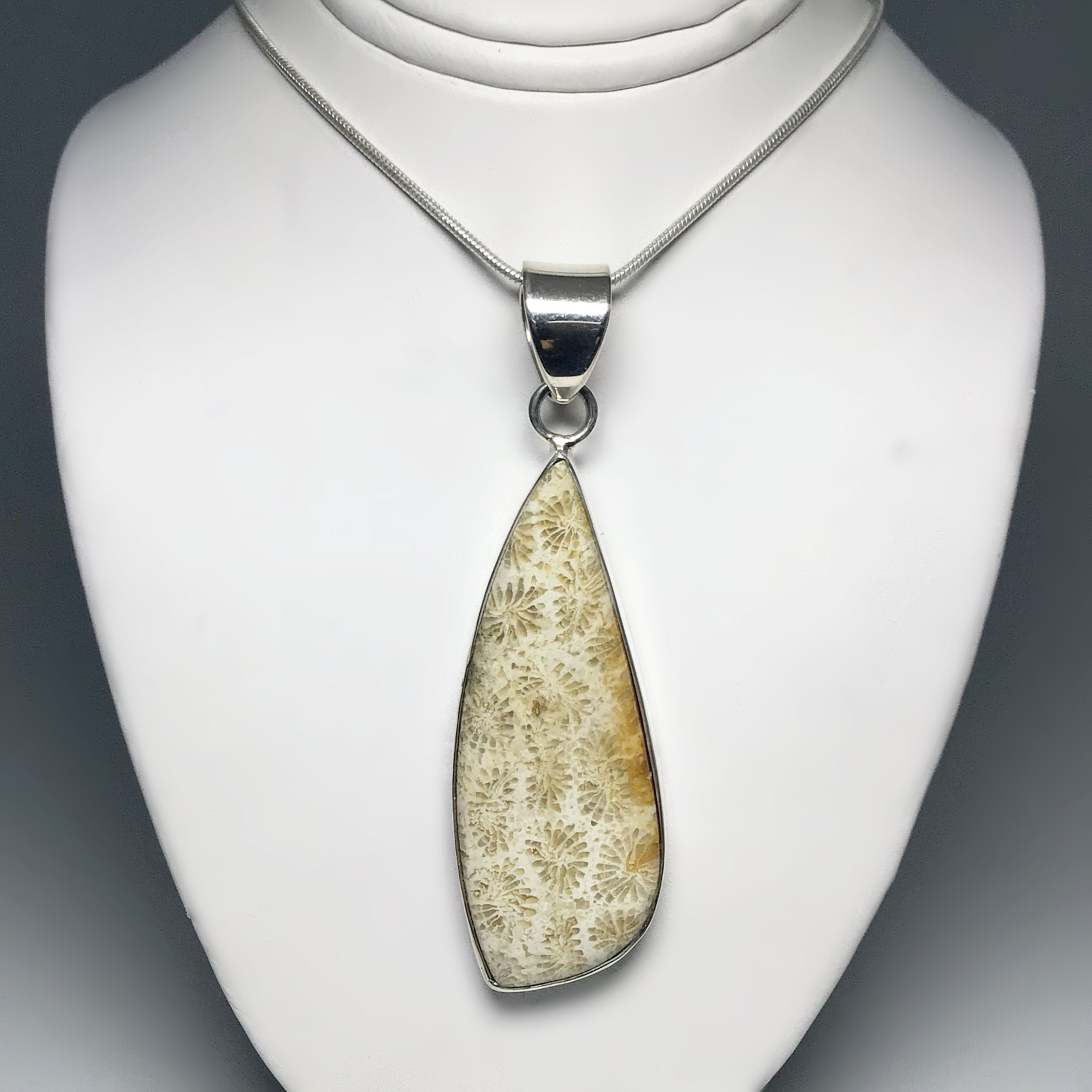Fossilized Coral Pendant - Rocks and Gems Canada