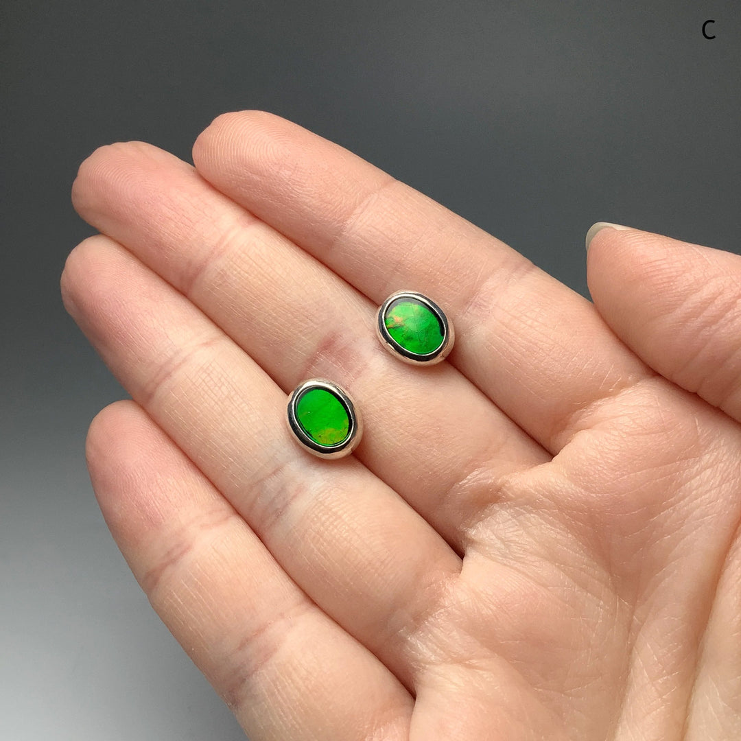 Alberta Ammolite Stud Earrings - Rocks and Gems Canada
