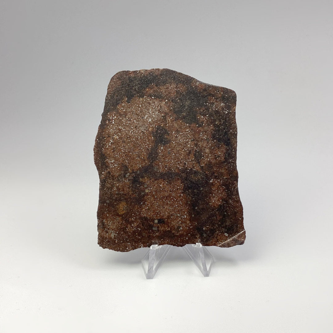 NWA Chondrite Meteorite Slab - Rocks and Gems Canada