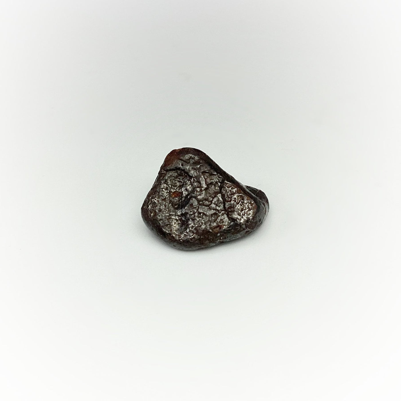 Sikhote-Alin Meteorite