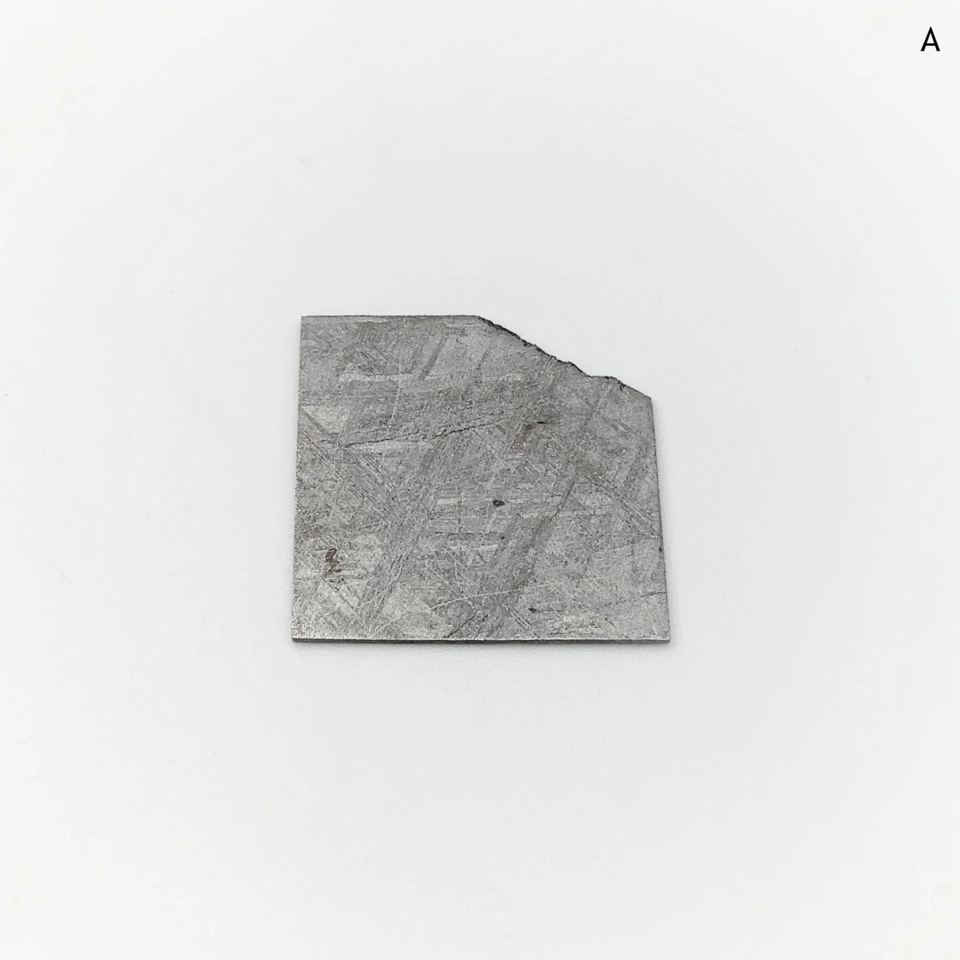 Muonionalusta Meteorite Slice at $115 Each