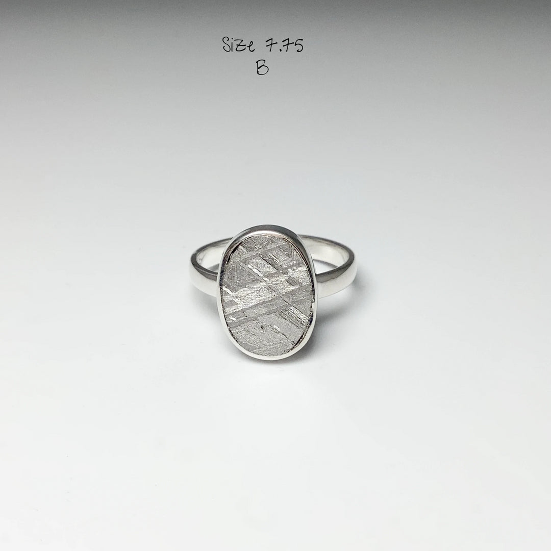 Muonionalusta Meteorite Ring - Rocks and Gems Canada