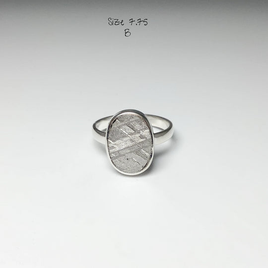 Muonionalusta Meteorite Ring - Rocks and Gems Canada