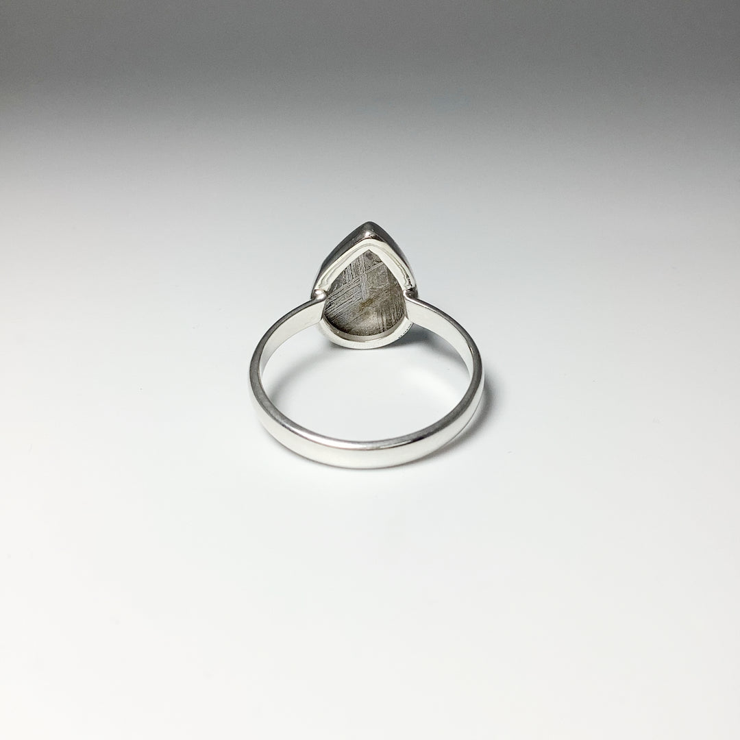 Muonionalusta Meteorite Ring - Rocks and Gems Canada