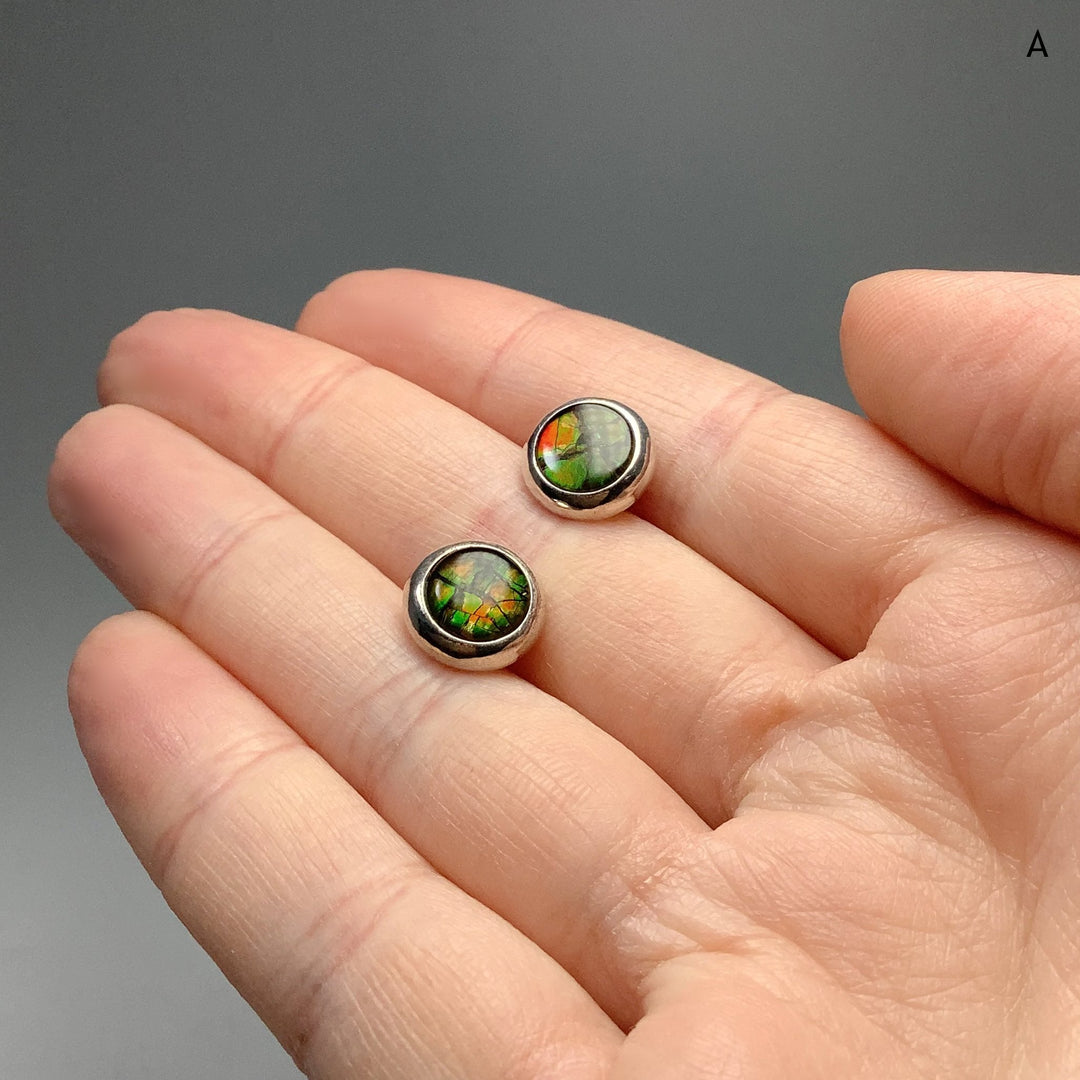 Alberta Ammolite Stud Earrings - Rocks and Gems Canada